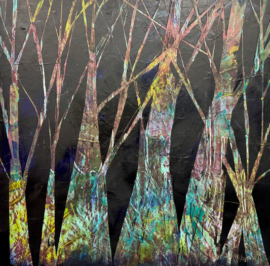 forest shadow