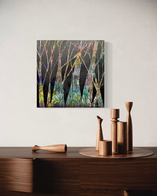 forest shadow