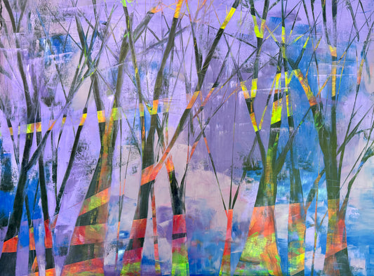 forest dream